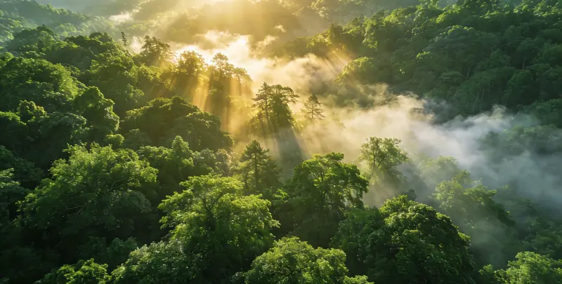 永州肺癌靶向39基因检测及PDL122C3表达检测套餐（组织）图片1