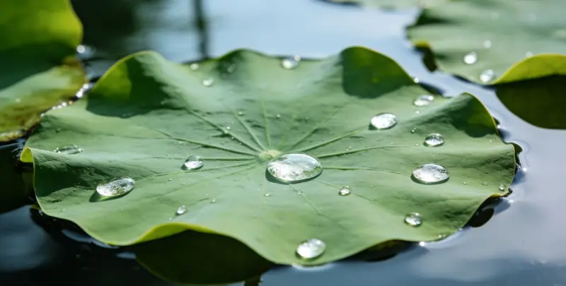 永州乳腺癌21基因mRNA表达分析图片1